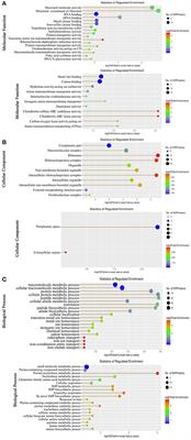 A glucose-mediated antibiotic resistance metabolic flux from glycolysis, the pyruvate cycle, and glutamate metabolism to purine metabolism